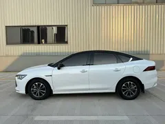 2023 BYD Qin PLUS Champion DM-i PHEV 55km Exceed, белый — фото 3