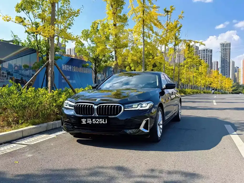 2021 BMW 5 Series 525Li Luxury Package