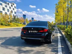 2021 BMW 5 Series 525Li Luxury Package, чёрный — фото 9