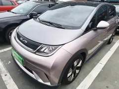2021 BYD Dolphin EV 401km Knight Edition — фото 2