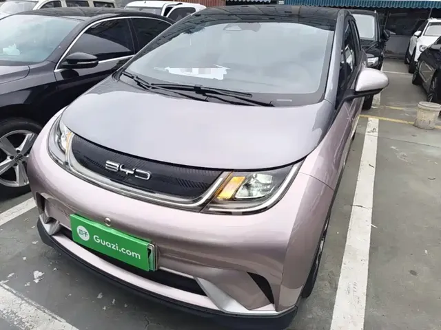 2021 BYD Dolphin EV 401km Knight Edition