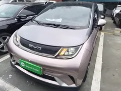 2021 BYD Dolphin EV 401km Knight Edition — фото 3