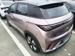 2021 BYD Dolphin EV 401km Knight Edition — фото 5