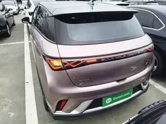 2021 BYD Dolphin EV 401km Knight Edition — фото 6