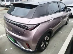 2021 BYD Dolphin EV 401km Knight Edition — фото 7