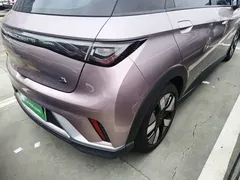 2021 BYD Dolphin EV 401km Knight Edition — фото 8