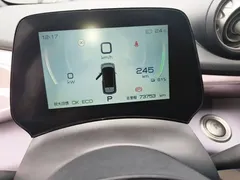 2021 BYD Dolphin EV 401km Knight Edition — фото 12