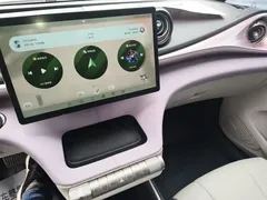 2021 BYD Dolphin EV 401km Knight Edition — фото 13