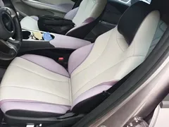 2021 BYD Dolphin EV 401km Knight Edition — фото 15