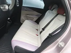 2021 BYD Dolphin EV 401km Knight Edition — фото 17