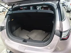 2021 BYD Dolphin EV 401km Knight Edition — фото 19
