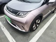2021 BYD Dolphin EV 401km Knight Edition — фото 24