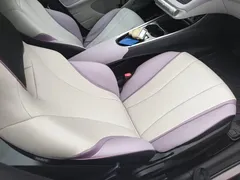2021 BYD Dolphin EV 401km Knight Edition — фото 25