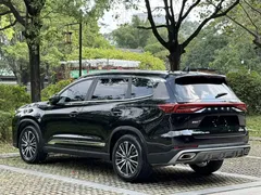 2024 Chery Tiggo 8 Pro 290T 2WD Champion Peak 5, чёрный — фото 9