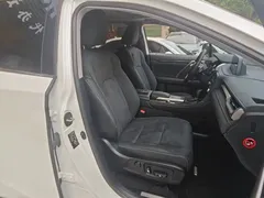 2020 Lexus RX 300 2WD Elite, белый — фото 25
