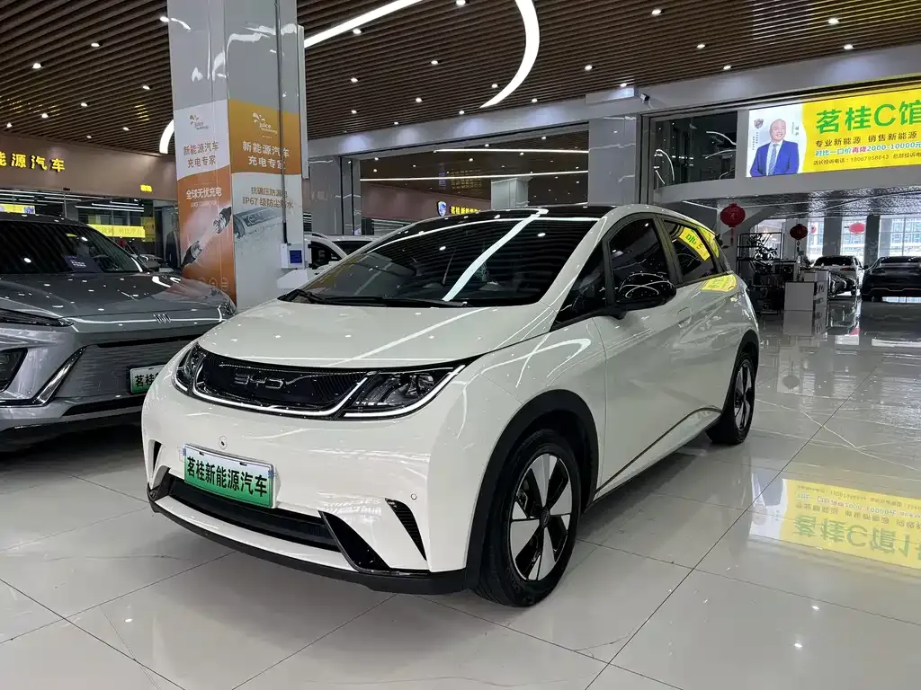 2023 BYD Dolphin 420km Fashion