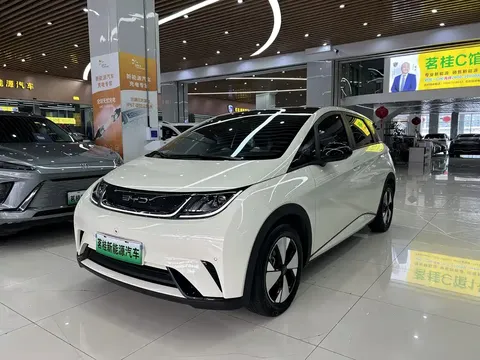 2023 BYD Dolphin 420km Fashion