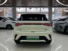 2023 BYD Dolphin 420km Fashion — фото 8
