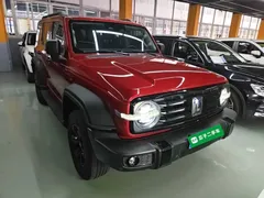 2021 Tank 300 Off-road 2.0T Conqueror — фото 4