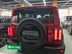 2021 Tank 300 Off-road 2.0T Conqueror — фото 6