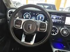 2021 Tank 300 Off-road 2.0T Conqueror — фото 11