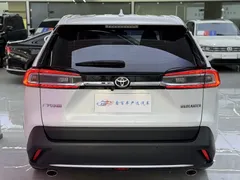 2022 Toyota Wildlander 2.0L CVT 2WD Luxury Plus, белый — фото 9