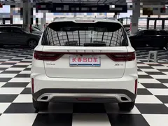 2021 Geely Vision X6 PRO 1.4T AT Premium, белый — фото 4