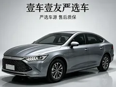 2024 BYD Qin PLUS Honor DM-i PHEV 55km Leading — фото 1