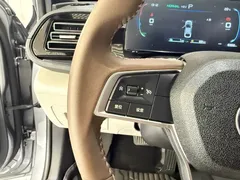 2024 BYD Qin PLUS Honor DM-i PHEV 55km Leading — фото 15
