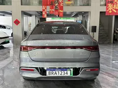 2024 BYD Qin PLUS Honor DM-i PHEV 55km Leading — фото 28