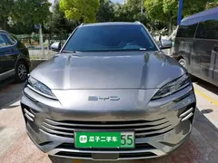 2024 BYD Song PLUS Honor DM-i PHEV 110km Flagship — фото 3