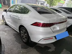 2024 BYD Qin PLUS Honor EV 510km Leading, белый — фото 9