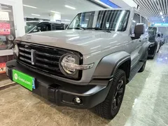 2021 Tank 300 Off-road 2.0T Conqueror — фото 2