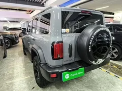 2021 Tank 300 Off-road 2.0T Conqueror — фото 5