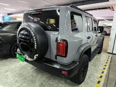 2021 Tank 300 Off-road 2.0T Conqueror — фото 7