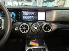 2021 Tank 300 Off-road 2.0T Conqueror — фото 13