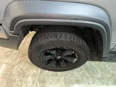 2021 Tank 300 Off-road 2.0T Conqueror — фото 23