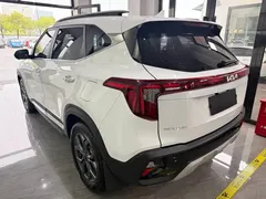 2023 Kia Seltos 1.5L CVT Luxury, белый — фото 5