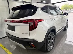 2023 Kia Seltos 1.5L CVT Luxury, белый — фото 6
