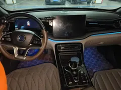 2023 BYD Qin PLUS Champion EV 610km Excellence — фото 12