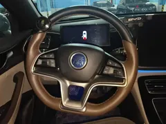 2023 BYD Qin PLUS Champion EV 610km Excellence — фото 15