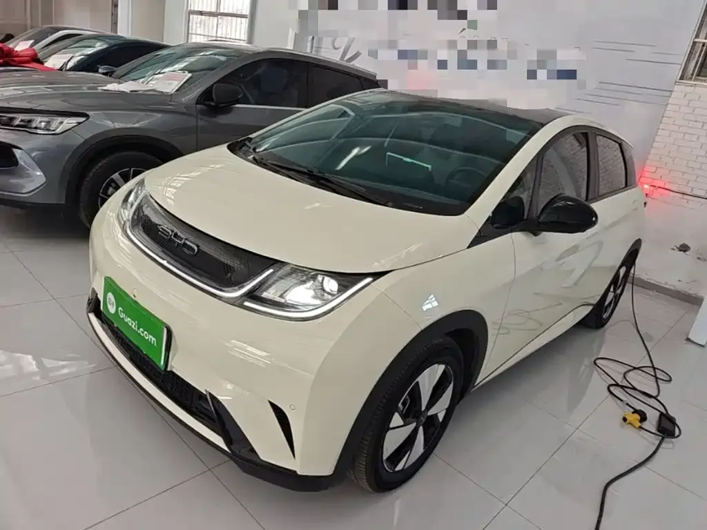 2023 BYD Dolphin 420km Fashion