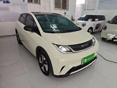 2023 BYD Dolphin 420km Fashion, белый — фото 4