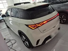 2023 BYD Dolphin 420km Fashion, белый — фото 5