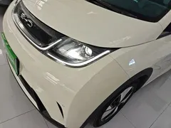 2023 BYD Dolphin 420km Fashion, белый — фото 24