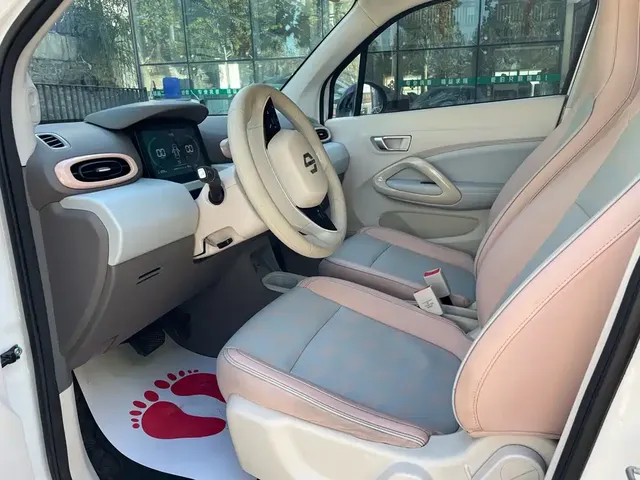 2024 Leapmotor T03 EV 310 Comfort