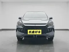 2023 BYD Song Pro DM-i PHEV 110KM Champion — фото 2