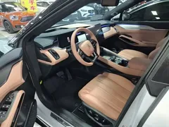 2024 BYD Song L EV 662km Excellence — фото 16
