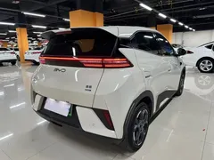 2025 BYD Seagull 405km Flying Smart Driving, белый — фото 16