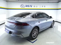 2023 BYD Qin PLUS Champion DM-i PHEV 55km Exceed — фото 3